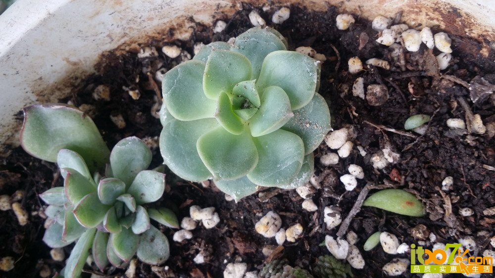 20150311_140519.jpg