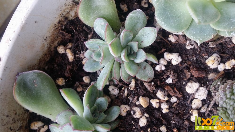 20150311_140525.jpg