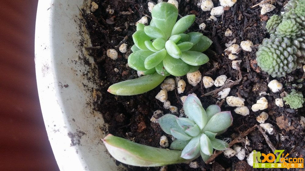 20150311_140535.jpg