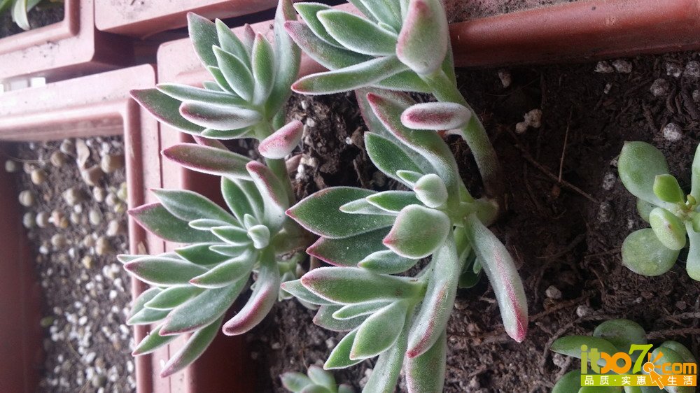 20150311_140610.jpg