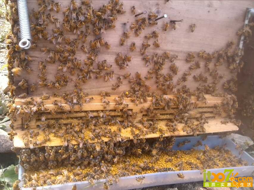 QQ图片20140921173210.jpg