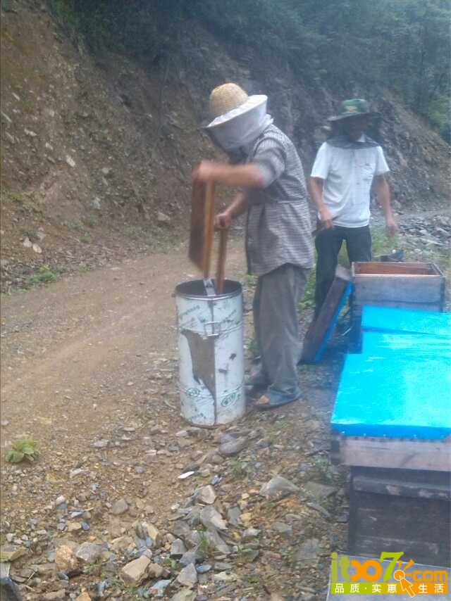 摇糖1.jpg