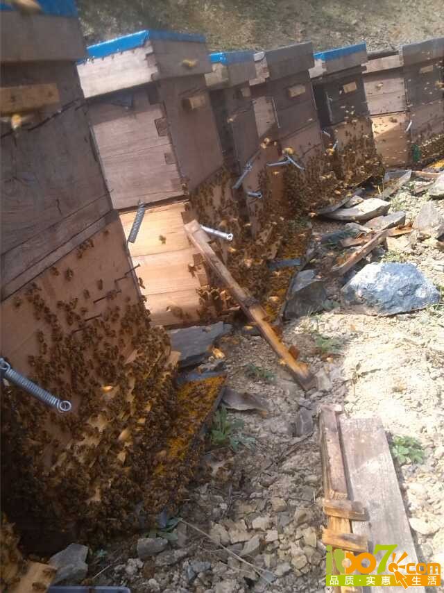 QQ图片20140921173202.jpg