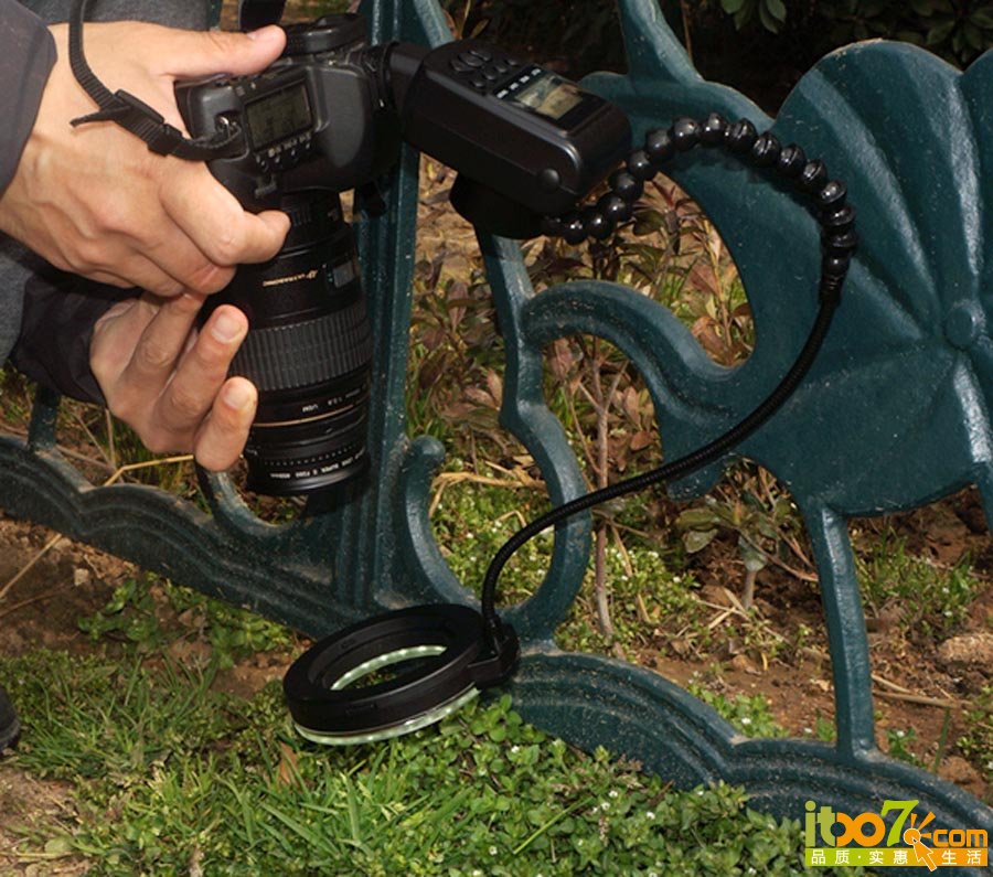 工作照--5d2、百微、xpro 258近摄镜、xpro悬臂环闪拍露珠。.jpg