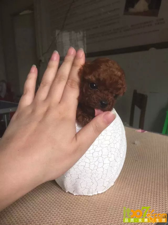 da (8).jpg