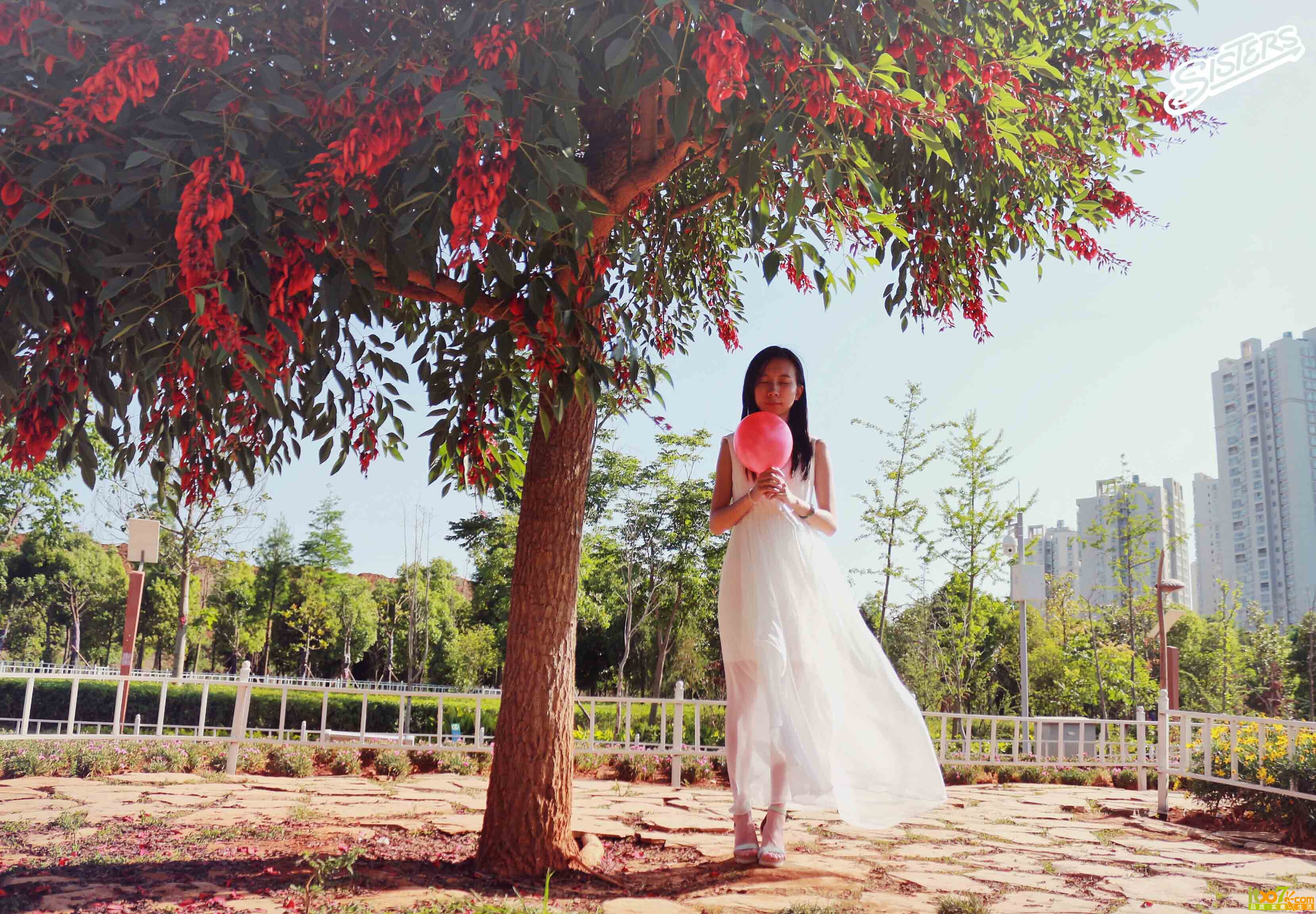 美美4.jpg
