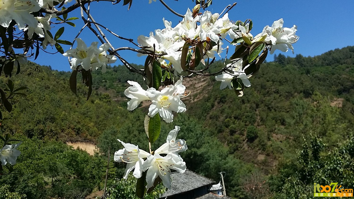 20150502_112028.jpg