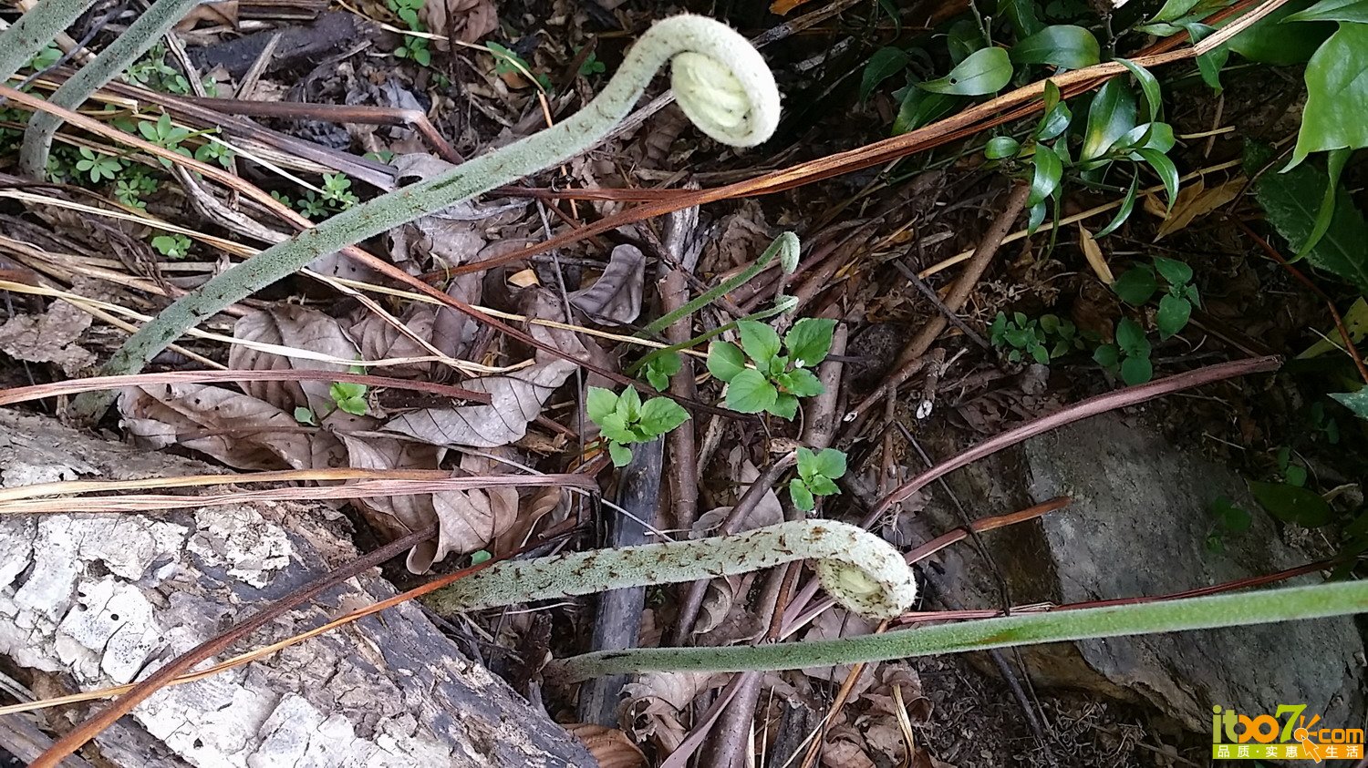20150502_143347.jpg