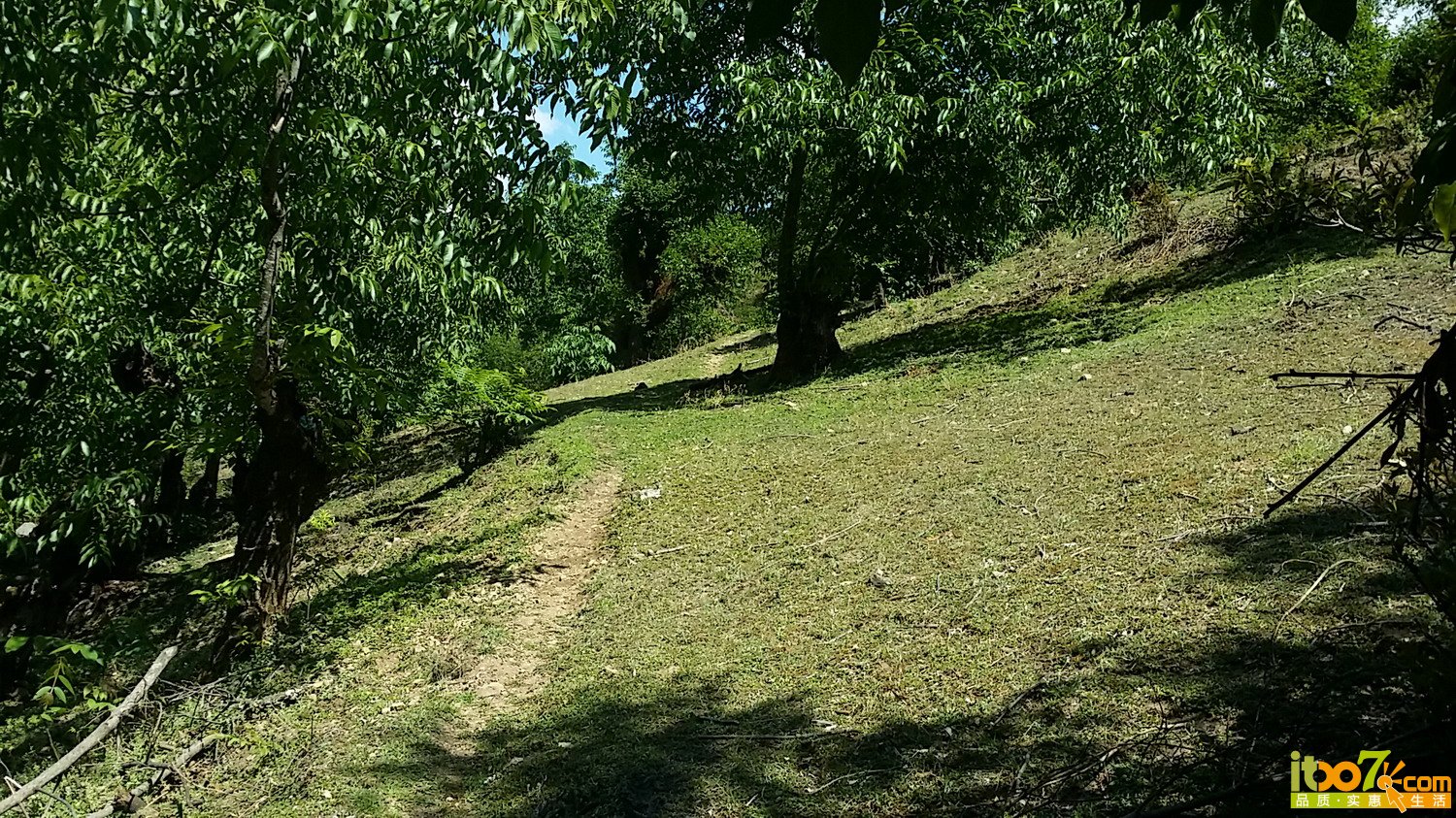 20150502_150513.jpg