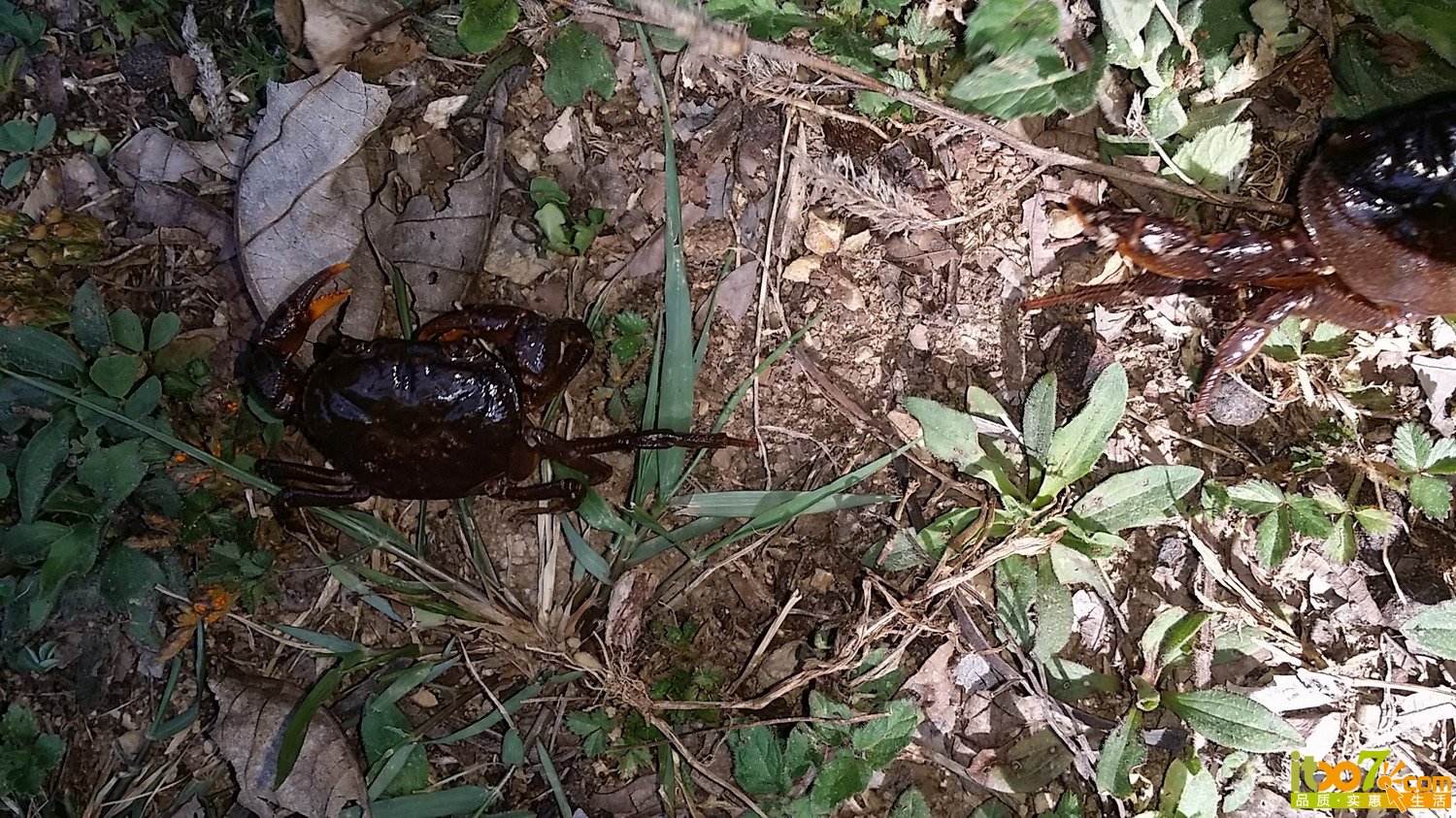 20150502_151834.jpg