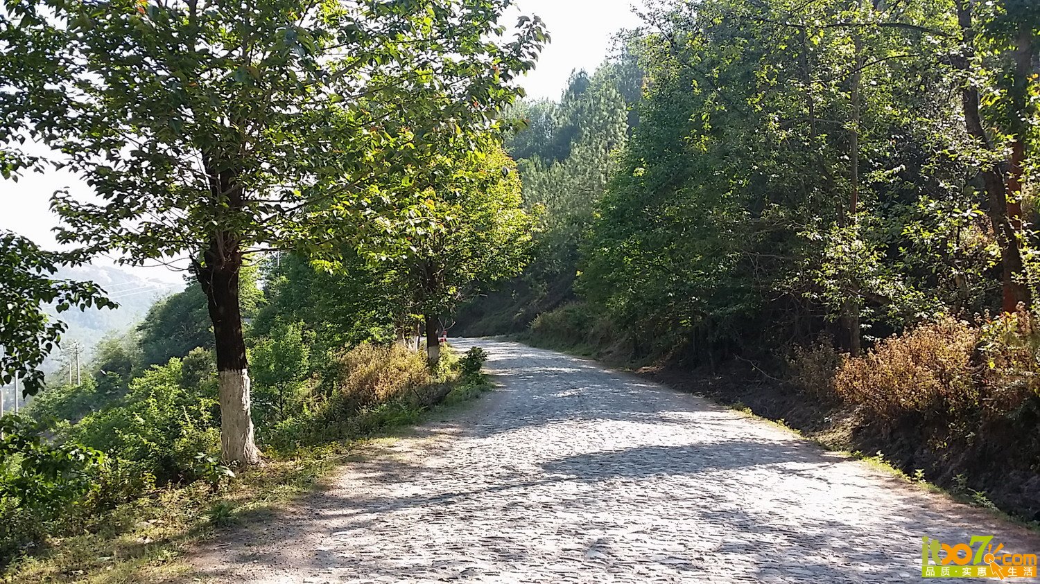 20150503_095442.jpg