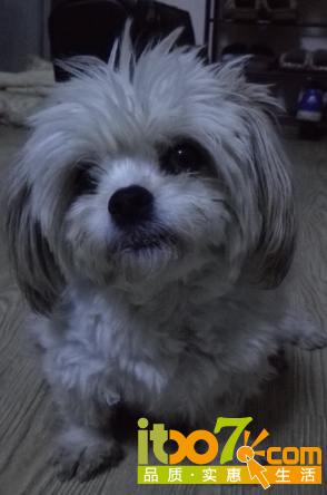 QQ图片20150501191743.png