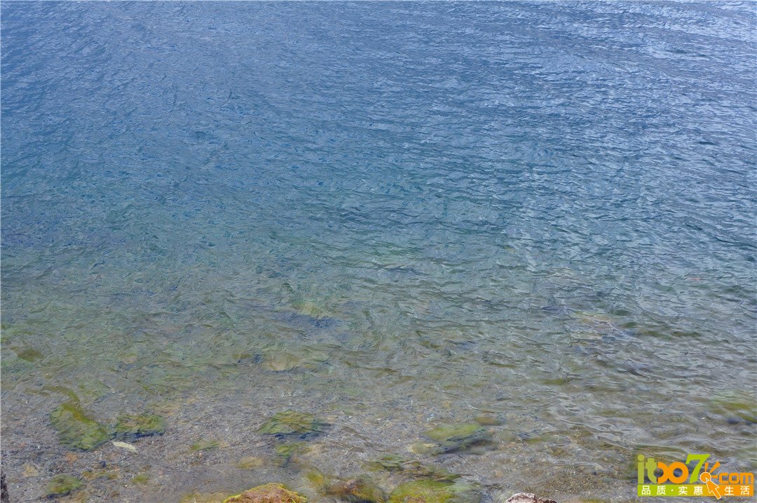 DSC02539.JPG