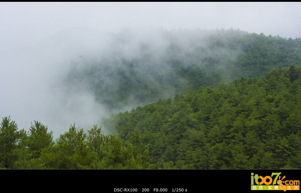 DSC01401_副本.jpg
