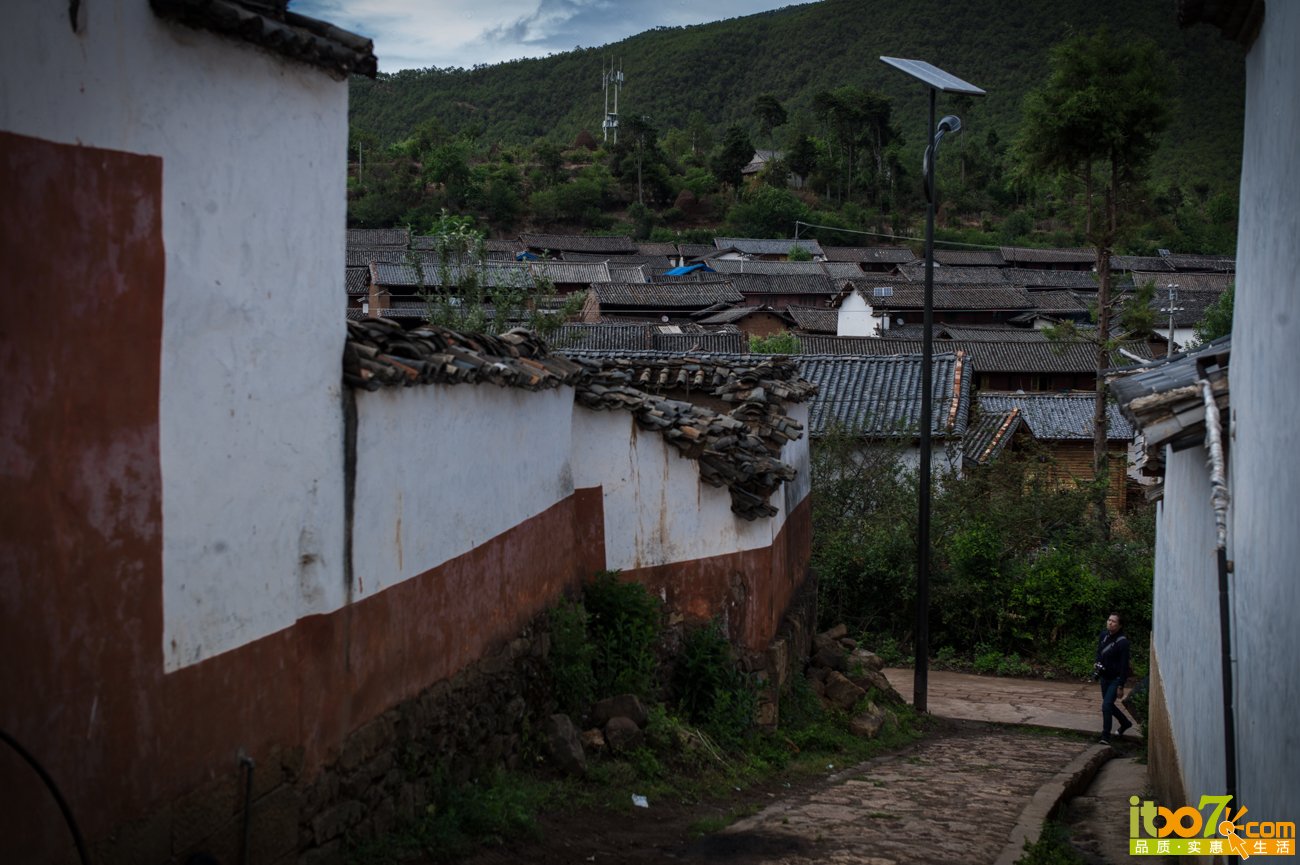 L1008128.jpg