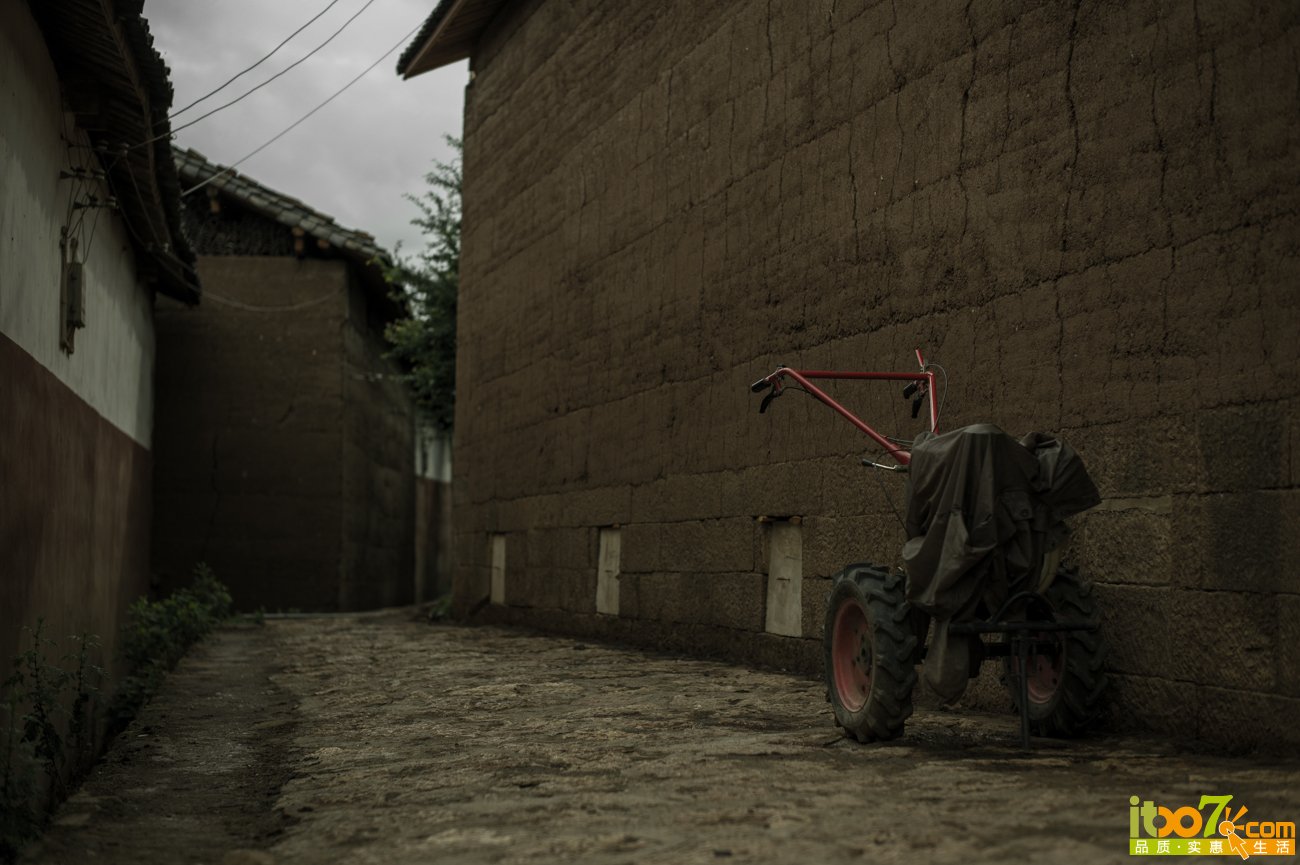 L1008228.jpg
