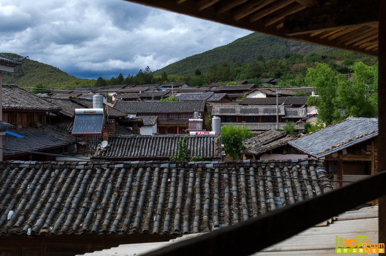 L1008163.jpg
