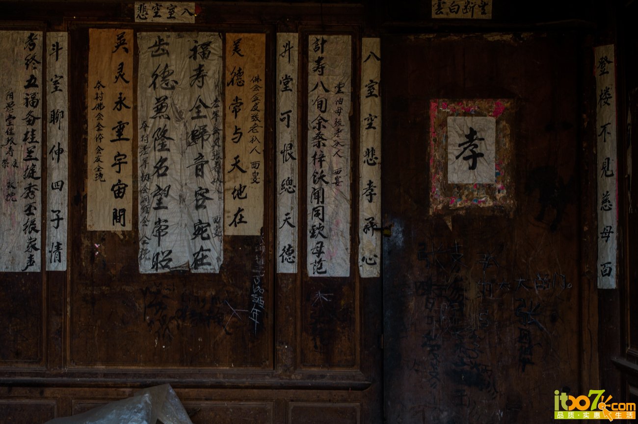 L1008167.jpg