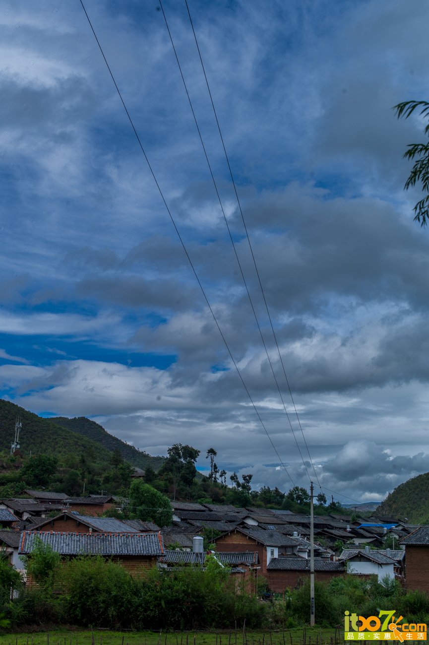 L1008181.jpg