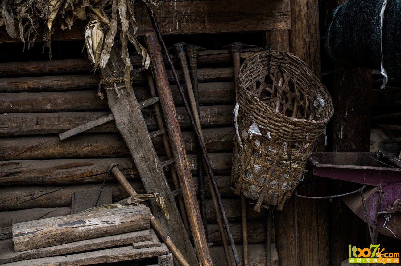 L1008188.jpg
