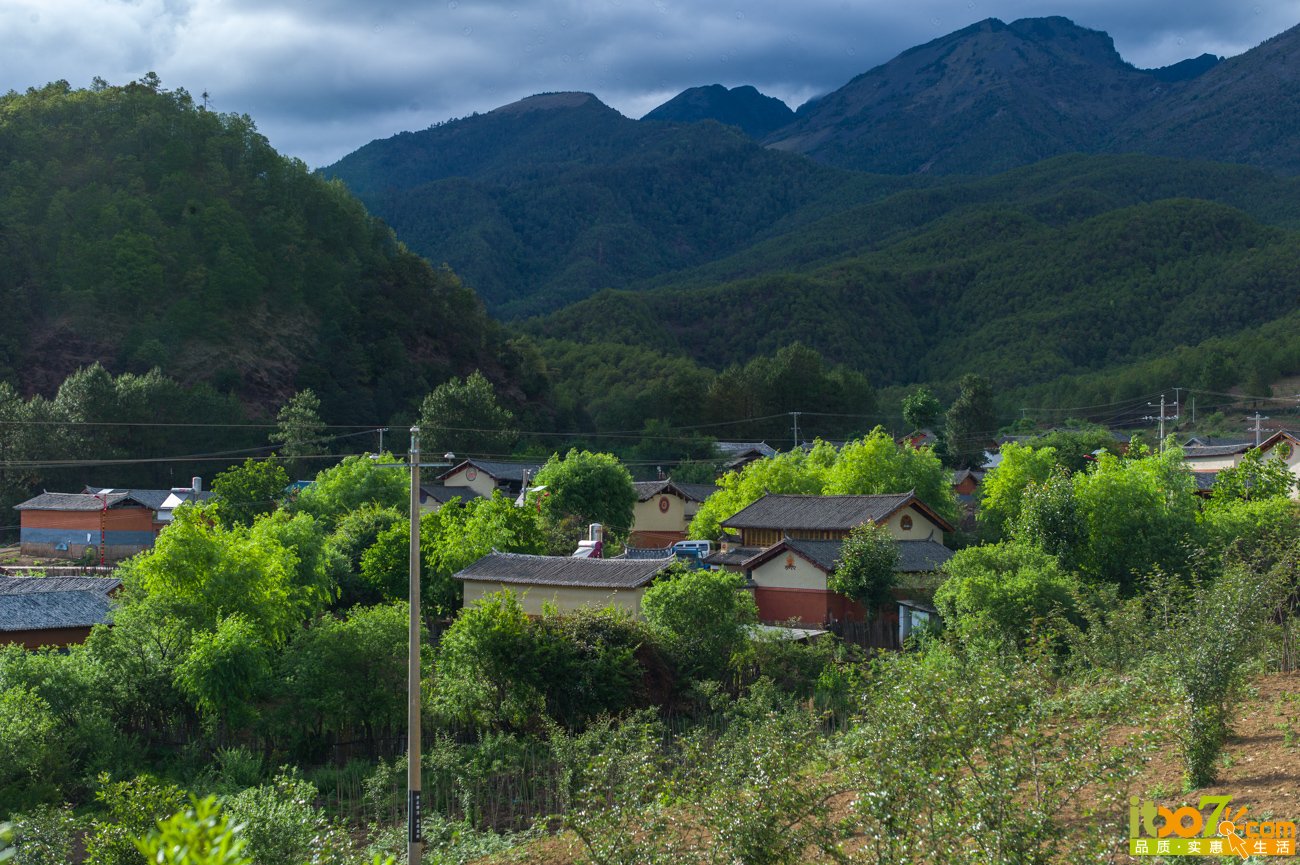 L1008341.jpg