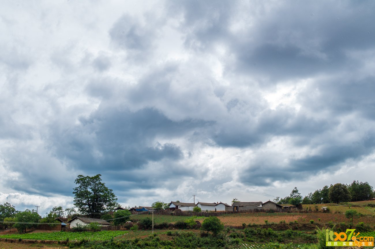 L1008254.jpg