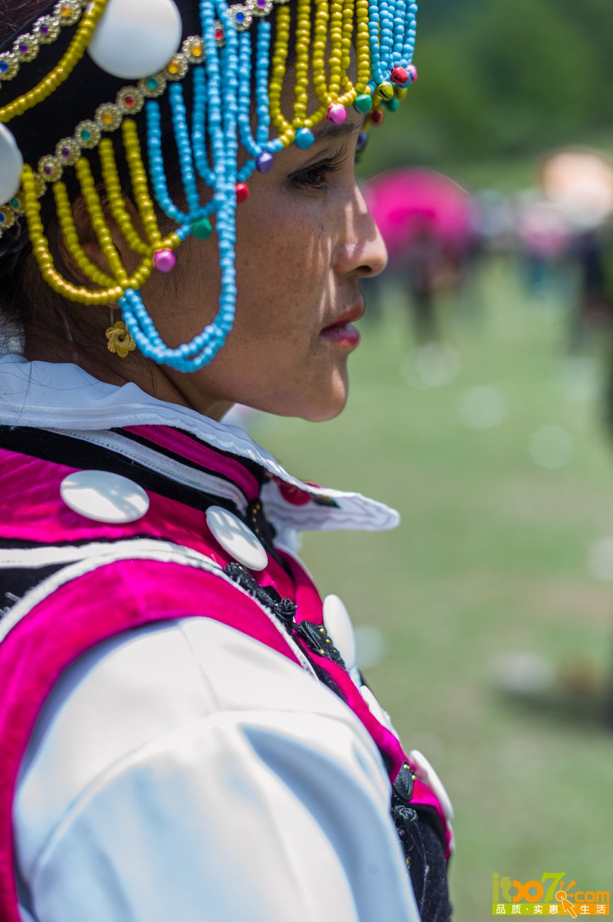 L1008712.jpg