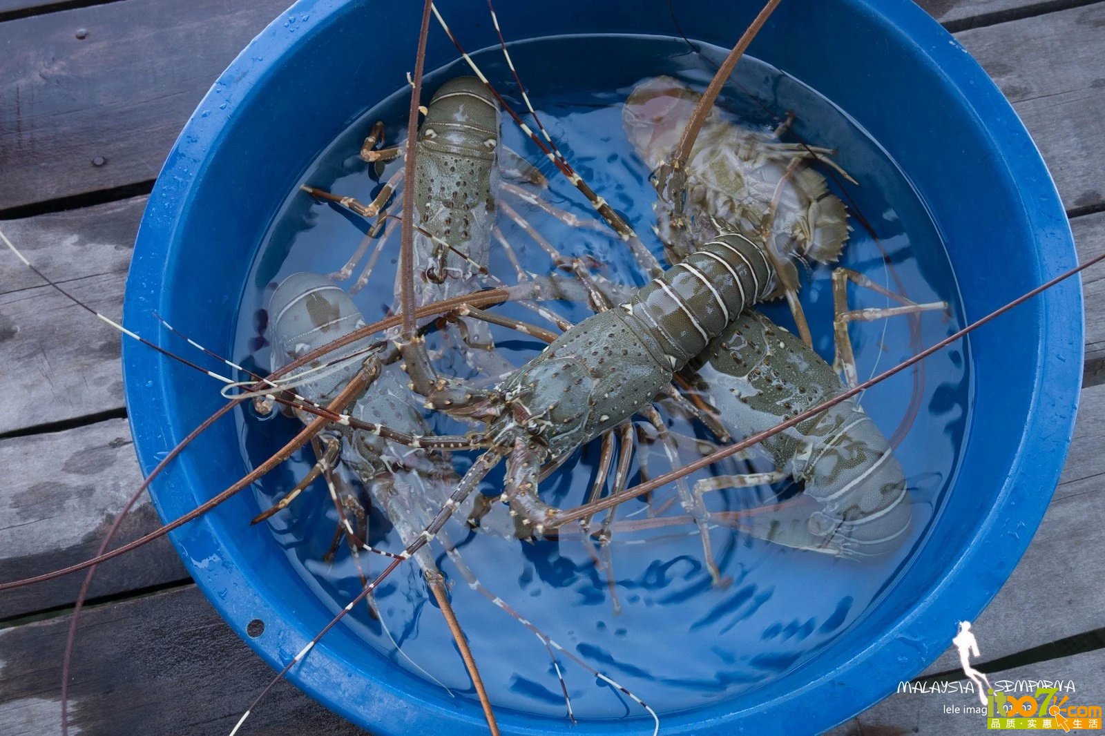 20150318-DSC07720.jpeg