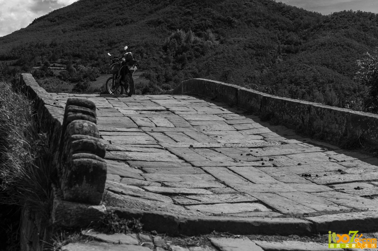 L1009013-编辑-编辑.jpg