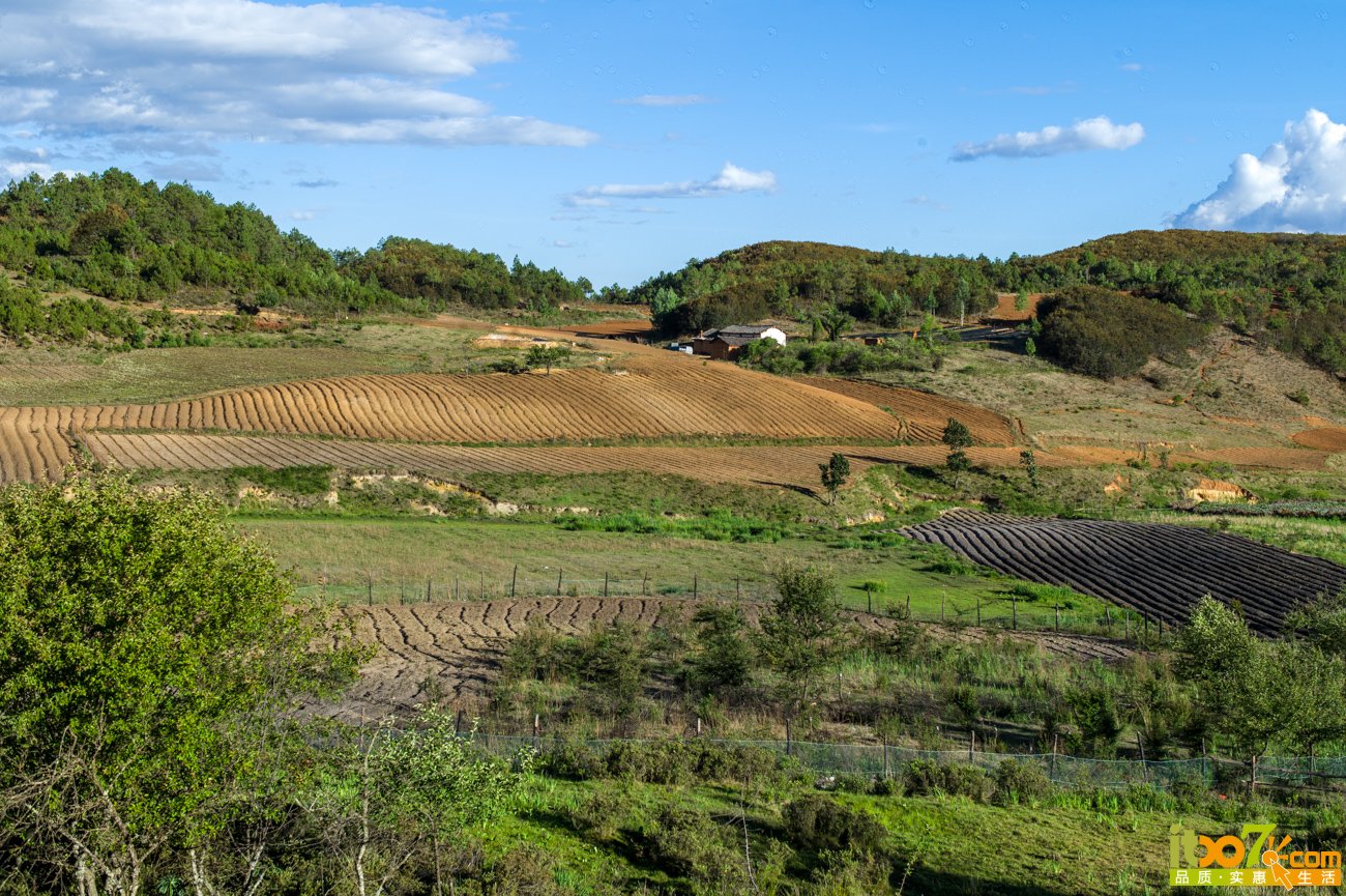 L1009064.jpg