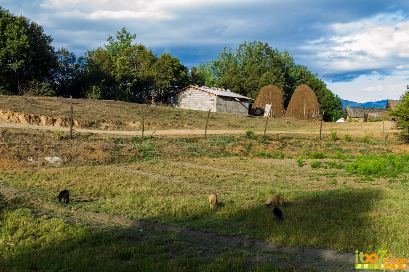 L1009086.jpg