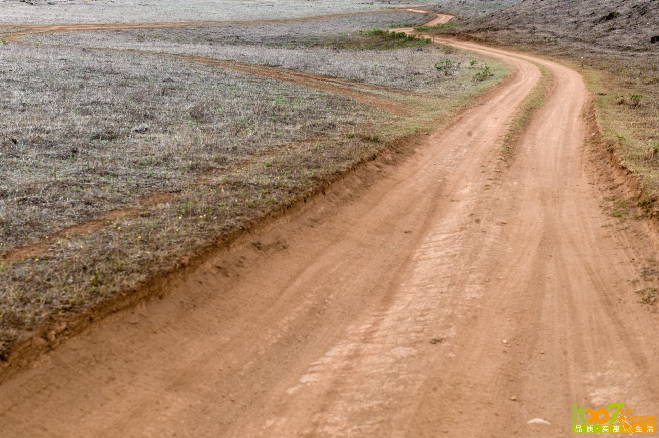 L1009089.jpg
