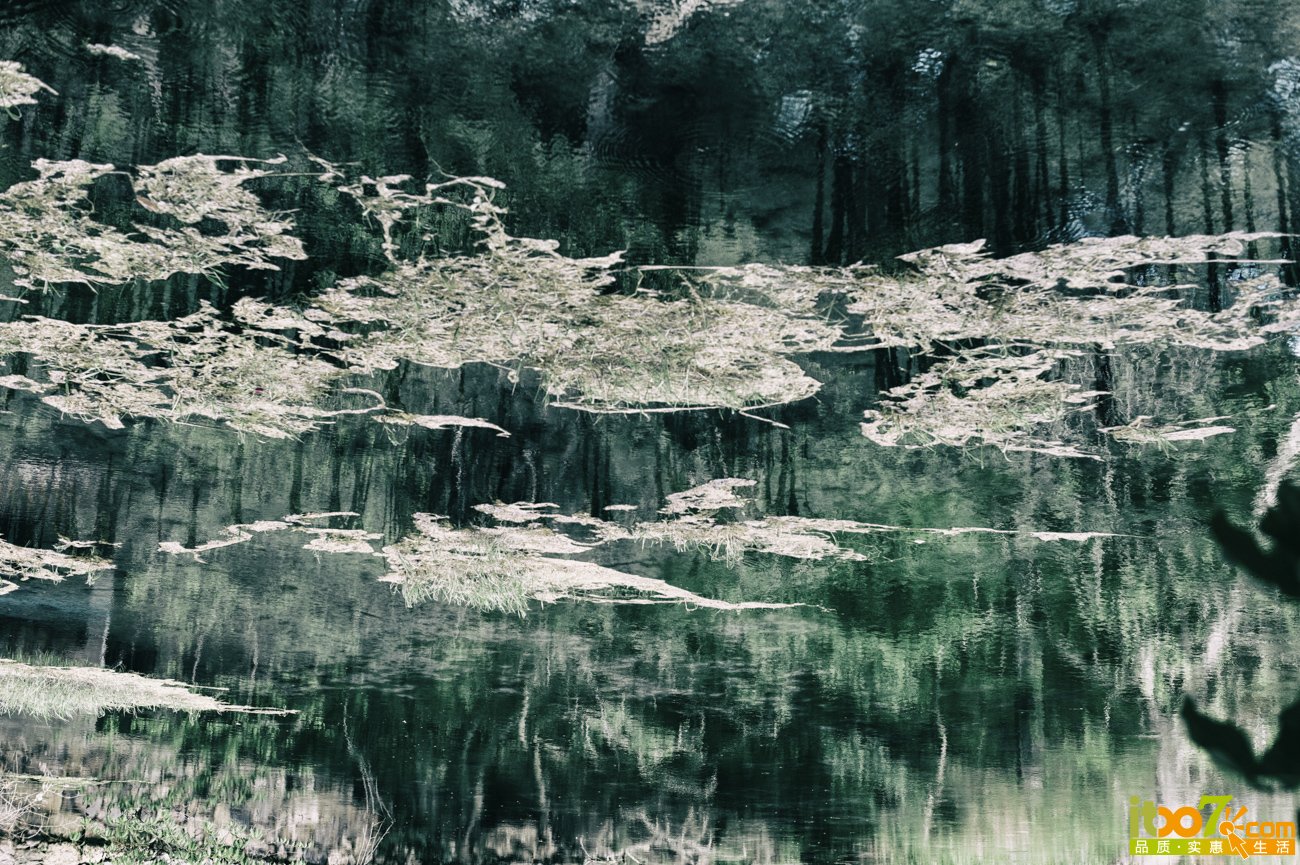 L1009570-编辑.jpg