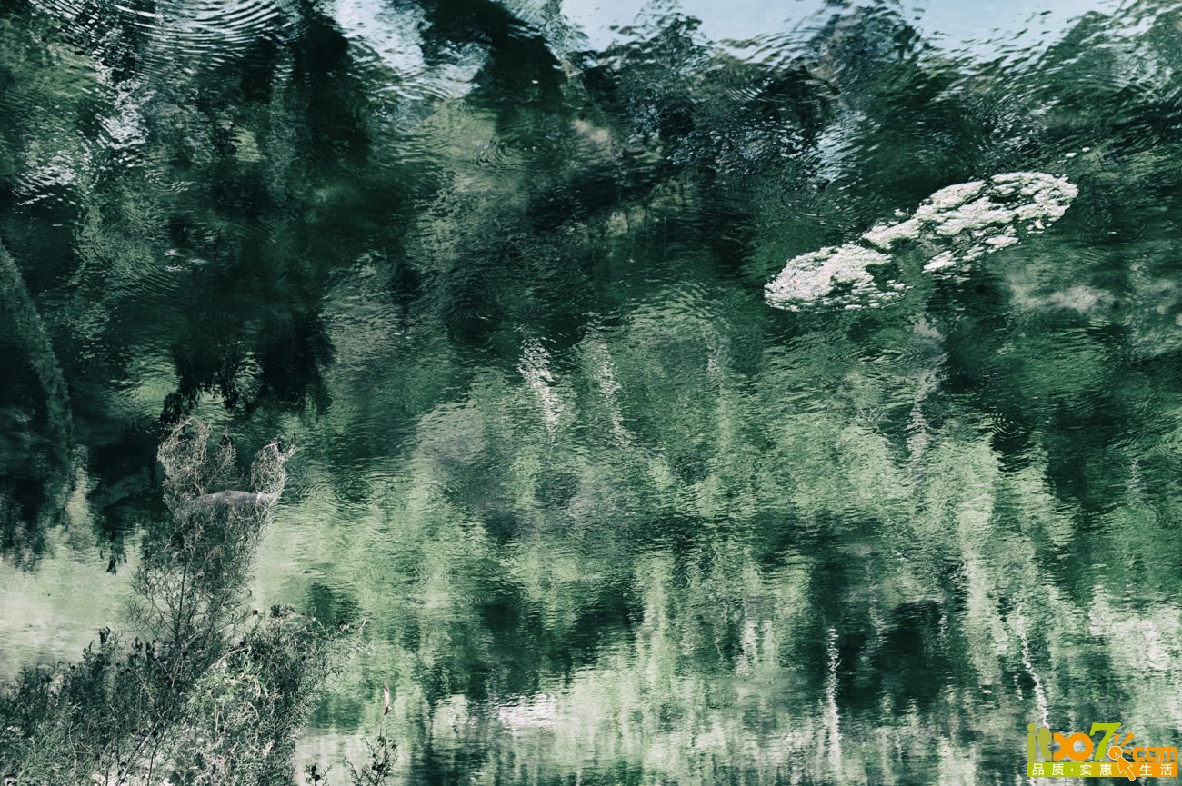 L1009577-编辑.jpg