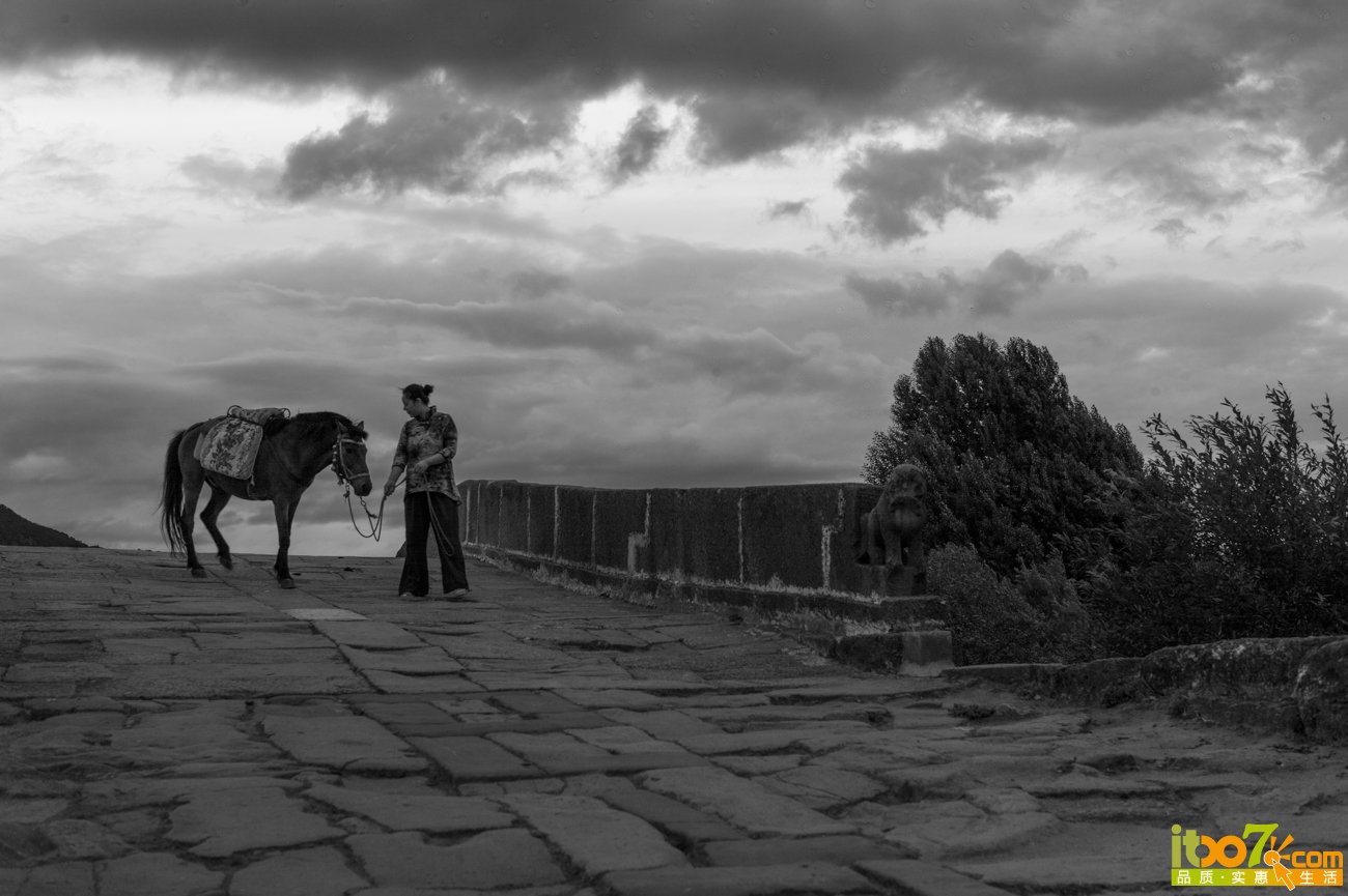 L1009623-编辑.jpg
