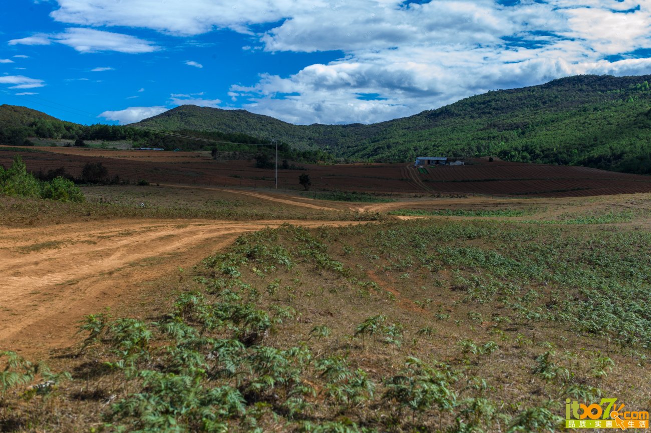 F0000193.jpg