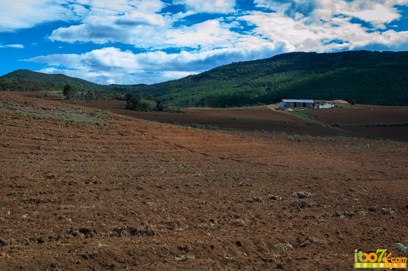 F0000196.jpg