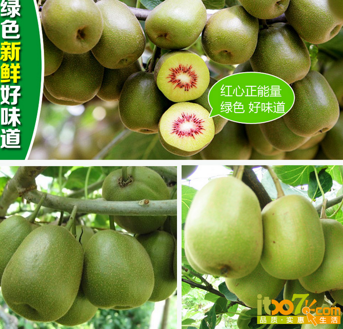 QQ截图20150818150252.png