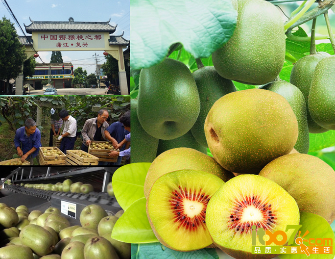 QQ截图20150818150243.png
