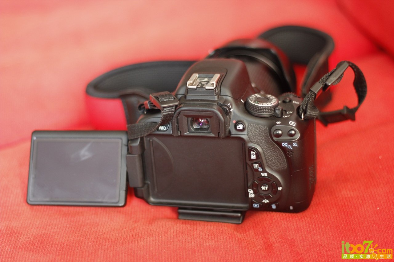 _MG_2177.JPG