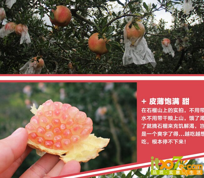 QQ截图20150901152817.jpg