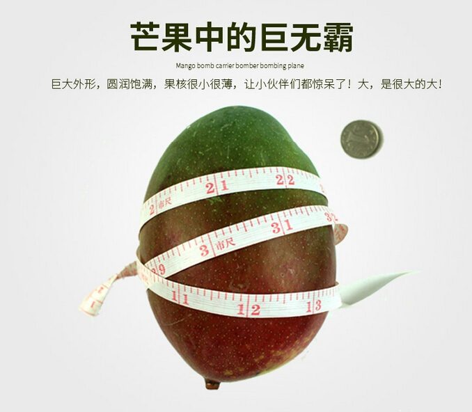 QQ截图20150921172045.jpg