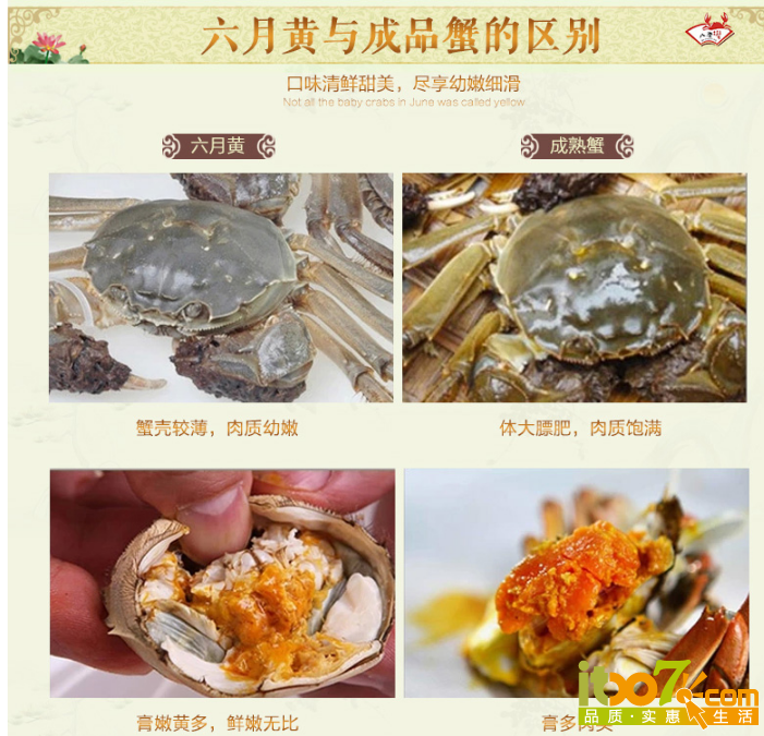 QQ截图20150922101258.png