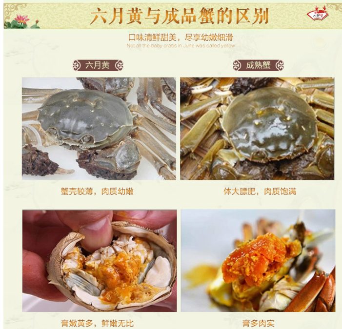 QQ截图20150922101258.png