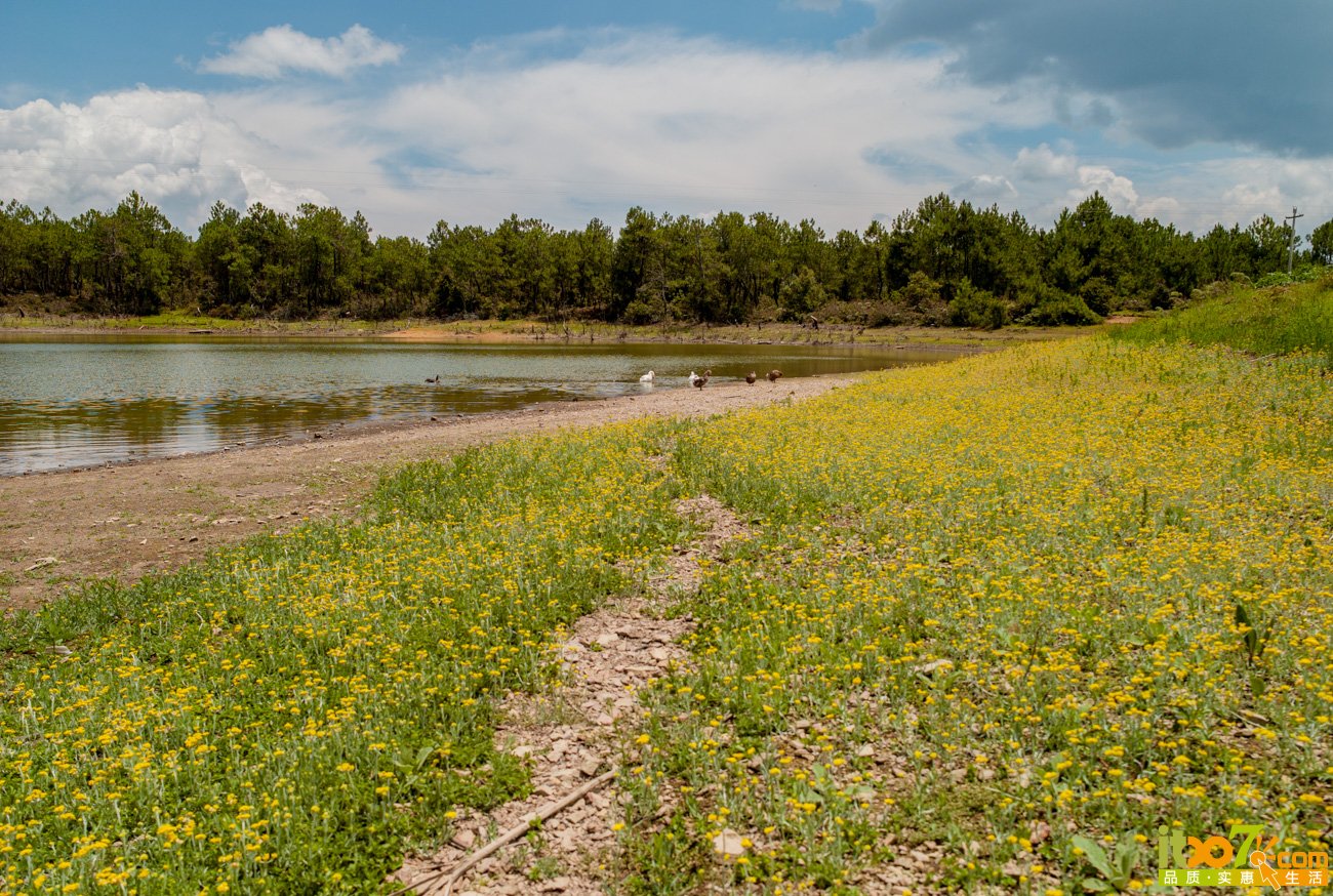 L1065817.jpg
