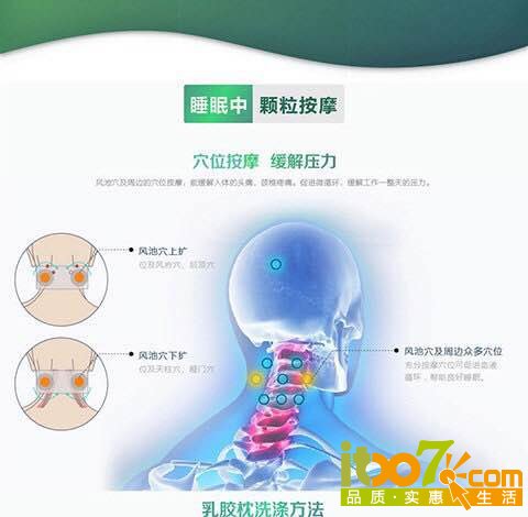 乳胶枕12.jpg