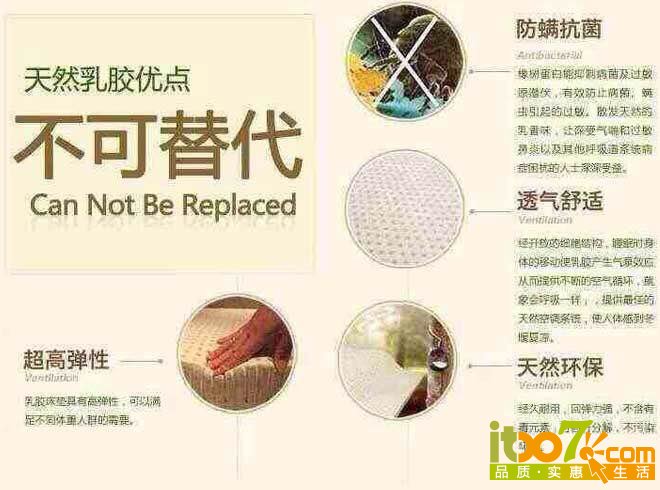 乳胶枕13.jpg