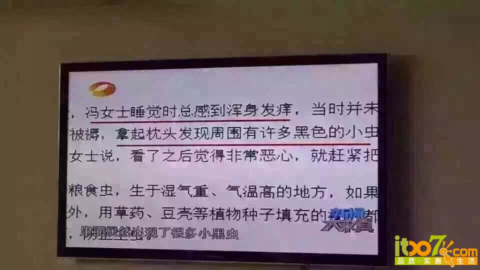 乳胶枕20.jpg