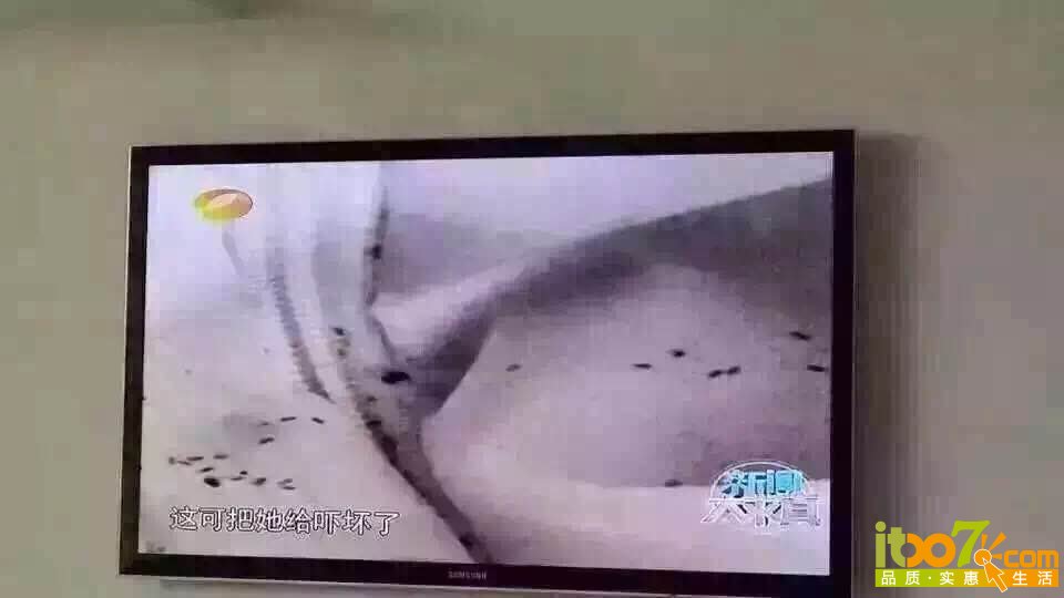 乳胶枕21.jpg