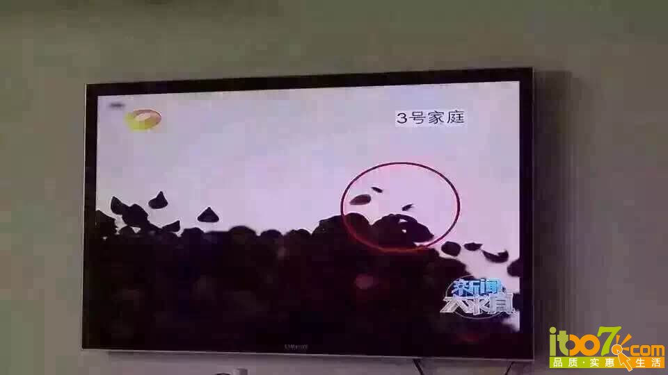 乳胶枕23.jpg